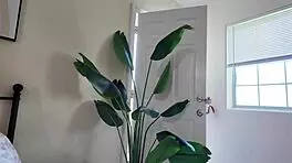 朱莉娅·詹姆斯骑乘我的大鸡巴反向牛仔赢得试镜面试