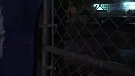 性竞赛粗暴户外公共勾搭是Anya Olsen的唯一选择