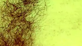 Wow, pink peaches takes double toy penetration!