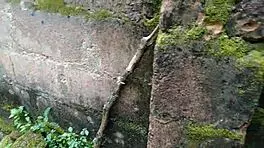 Young Girl Engages In Detailed Sexual Activity With Plantain Fruit In Oiled Garden Setting