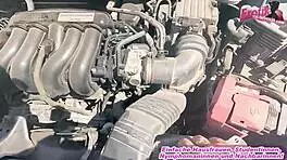 德国街头大奶骚货车震口交😏