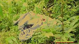 Ebony Latina Enjoys Garden Threesome Outdoors