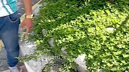 omg, this 18 year old latina got caught sucking off a pornstar on the bus in public!