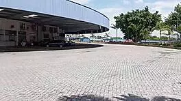 omg, this 18 year old latina got caught sucking off a pornstar on the bus in public!