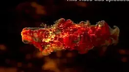 new 19yo beauty baby doll takes monster cock in ass - anal orgasm 😍