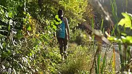Hiking vlogger Black Lynn discovers cock to suck in nature's wild spot 😏