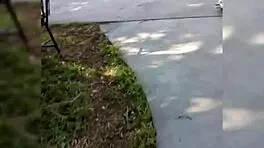 Teen with big ass and big tits in sensual pose.