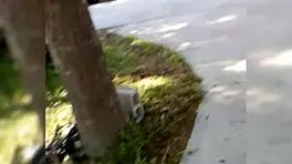 Teen with big ass and big tits in sensual pose.