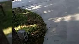 Teen with big ass and big tits in sensual pose.