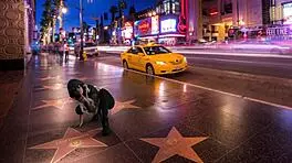 Slim colombian teen in red lingerie mounts thick dick rough for deepthroat blowjob