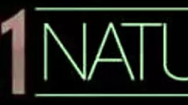 Jessy Jey Craves Big Dick in Tight Ass at Office