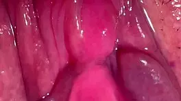 amateur pink pussy explored 187 days post-virginity with wet licks