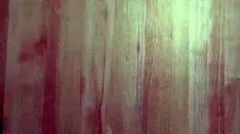 Teen Maid In Uniform Gets Huge Anal Assfucking