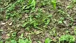 i messed up and grabbed her huge tits by accident