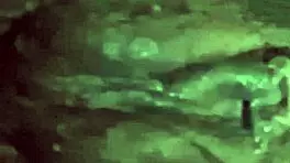 black lynn ties ponytail to suck my huge cock deep