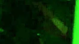 Licking balls for breakfast getting doggy while trying to step up by stairs