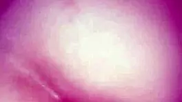 Lo zorra de la vecina esta muy mojada y no trae ropa interior