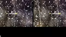 Euro lesbians piss and finger