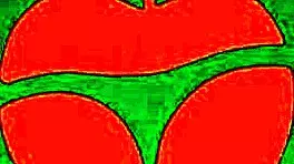 I Fuck A Fan And Take His Virginity