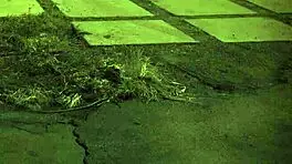 I am English outdoor unless you're from the sixties and dig that earth