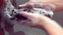 Big Step Sister Plays With Step Brother Monster Bbc While Parents Arent Home