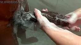 Big Step Sister Plays With Step Brother Monster Bbc While Parents Arent Home