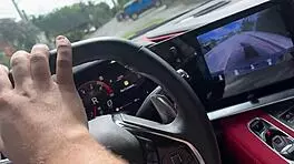 Sneaky Outdoor Encounters