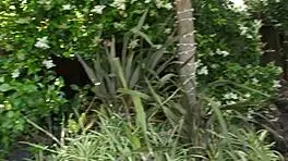 Kristal Summers Spots Gardener Outdoors