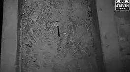 skinny teen arteya gets cum in mouth after riding 😏 stevenshame dating