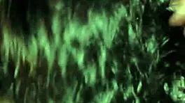 i am kitty mamada y corrida sin experiencia una polla palpitante en la boca