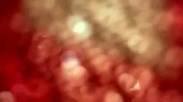 Petite Ebony Cheats On Her White Boyfriend