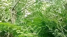 I was masturbating in the river and didn't know there was a voyeur