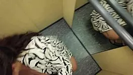 My Stepmoms Adventure In The Elevator, Flashing And Fucking!