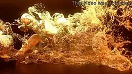 Sexy Teen Takes Monster Cock in Tight Ass