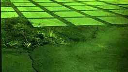 Fucked outdoors unless youre from the sixties and dig that earth milf