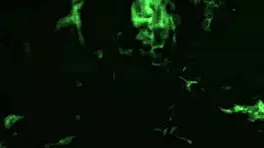 fui conhecer a col�mbia arrombei o cuzinho de uma col�mbiana novinha que delicia