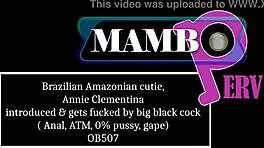 Brazilian Amazonian Cutie Annie Clementina's Anal Atm Pussy Gape Dirty Talk Alt Interview Ob507