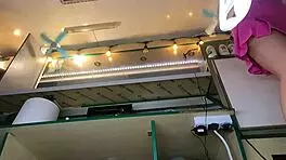 Hey, check out this 18 yo hot bitch working without bra or panties at the summer festival! 😏