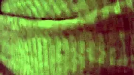 > < me encanta que me vean chupándole la pija a mi novio