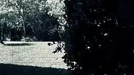 Outdoors In The Sun Aubrey Adams Rubs Herself And Fucks Too