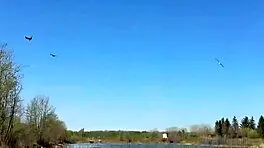 Young Angler Girl Went To Fish After School, Wearing Uniform, Underwear, Fishnets, Socks, Skirt, Miniskirt In Forest