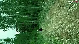 beautiful blonde loses way to halloween party in woods, enjoys woodcutter's cum facial