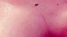 hot bbw doggystyle cum