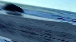 Relaxing Beach Day With Brunette Latina Milf