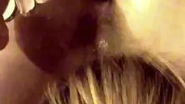 Stallion milker series five