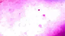 He Can't Resist My Natural Big Tits Bouncing When He Fucks My Tight Pussy Hard Until I Moan