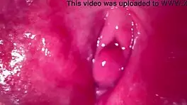 First Sex with a Virgin on Halloween Night 【16th Round】