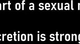 kalani luana in dr tampa parody 😏