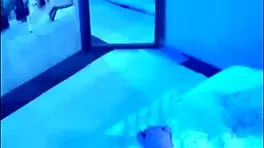 i crave anal fucking blowjob and ass eating in high heels