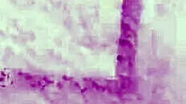 Big ass redhead model poses naked hairy pussy exposed